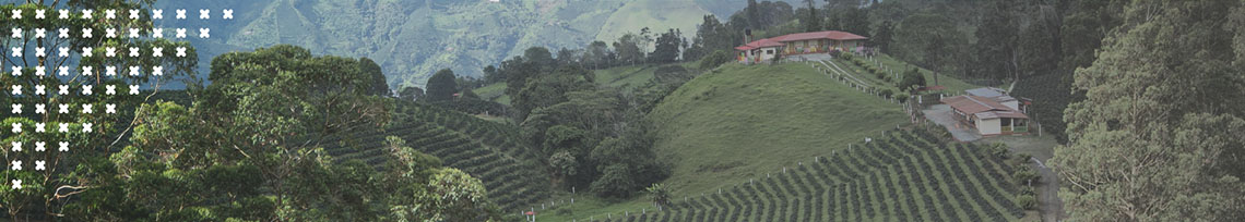 Imagen a manera de banner de las montañas del municipio de planadas Tolima para el micrositio de Paz y Región de Unibagué